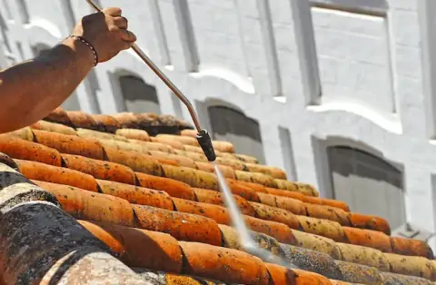 Nettoyage de toitures - Taussac-la-Billière
